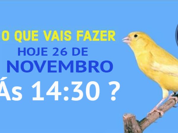 468360262_1097989545662103_2062391614287941882_n