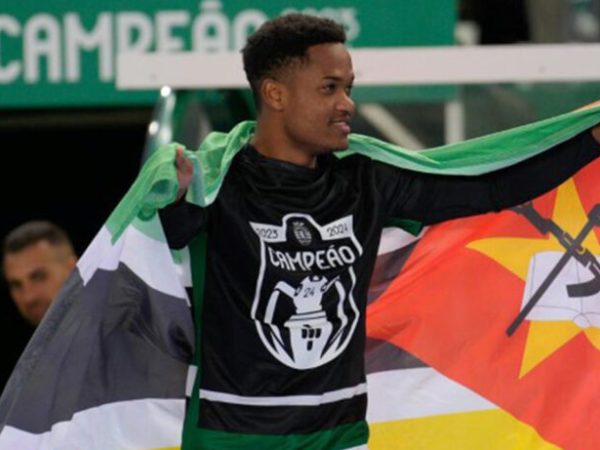 Geny-Catamo-1024x461