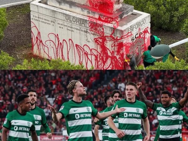 IMG_20250508_135202 IMG_20250508_135202